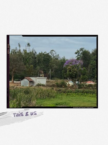 A tranquil countryside escape, a scene that feels miles away from the city's hustle.