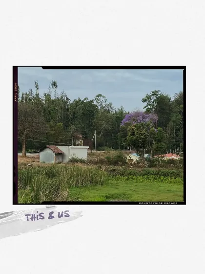 A tranquil countryside escape, a scene that feels miles away from the city's hustle.