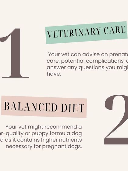 Furever Safe - Pet Boarding & Day Care Pet Parent Resources photo 6