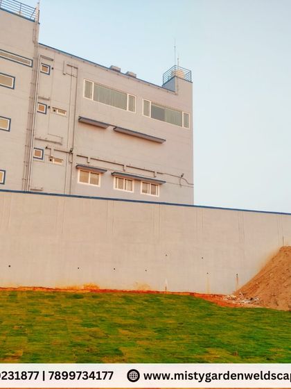 A view of the newly started lawn against the boundary wall of the commercial site. Even a small section of green can start to transform a space.