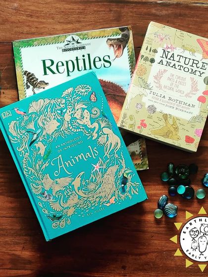 Earthlings Early Years - Preschool & Daycare Storytelling & Raising Readers photo 10