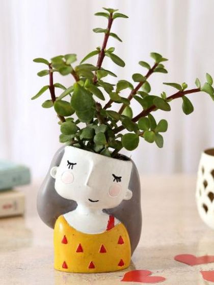 This sweet, girl-faced planter holding a lush Jade plant adds a touch of innocence and charm to any room. It's a wonderful gift that combines artistic design with the beauty of nature.