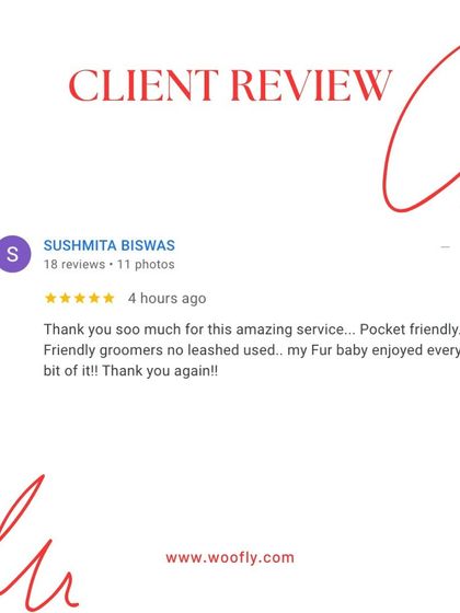 Woofly - At-Home Pet Grooming What Pet Parents Are Saying photo 6