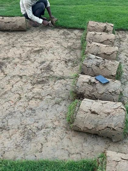 A team member carefully places a roll of natural grass carpet, ensuring the edges line up perfectly. This attention to detail is key for a seamless lawn repair.