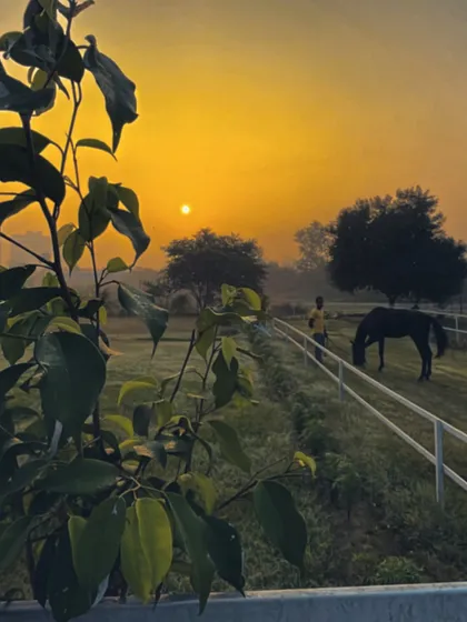 This is the view that greets us and our animal guests each morning. Our 4.5-acre farm provides a serene, natural setting that serves as a true escape from the noise and confinement of city life.