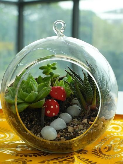 Create your own little world! This beautiful terrarium with succulents and cute mushrooms was made in our gardening and decor workshop. It's a perfect piece of living art to take home.