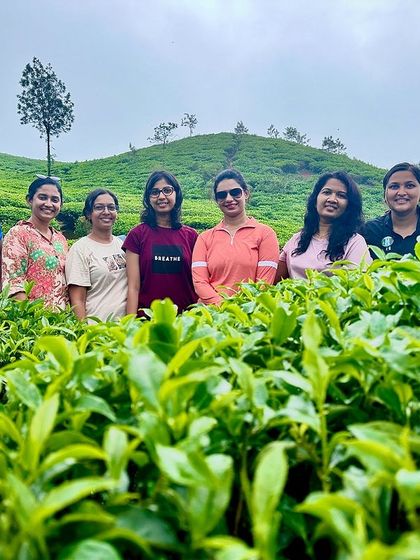 A group photo in the middle of a tea estate, surrounded by a sea of green.