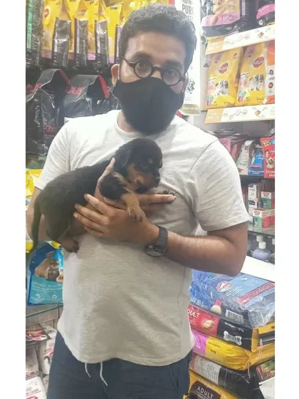 A proud new owner holding his Rottweiler puppy. It is a great feeling to know my puppies are going to loving and responsible homes.
