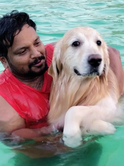 Fluffy Paws Pet Resort - Dog Park & Swimming Pool Splash & Swim: Our Human-Friendly Pool photo 22