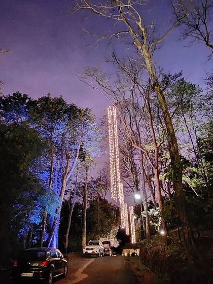 Asha Decorators - Social & Milestone Event Decoration Atmospheric Lighting & Draping photo 3