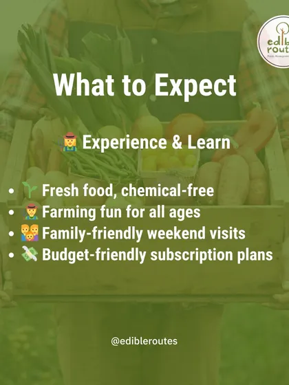 What can you expect from our Farmlet service? Fresh, chemical-free food, fun farming experiences for all ages, family-friendly weekend visits, and budget-friendly subscription plans that make healthy eating accessible.
