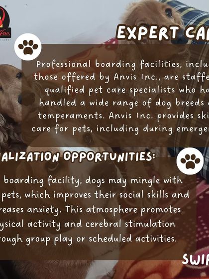 Anvis - Dog Boarding Helpful Tips for Pet Parents photo 11