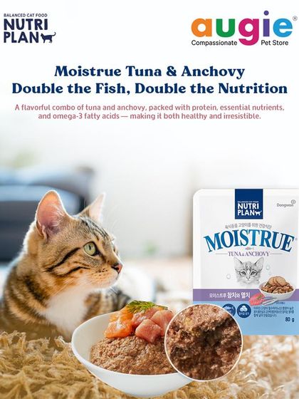 Augie Pets - Pet Supplies For Our Feline Friends: Premium Cat Nutrition photo 16