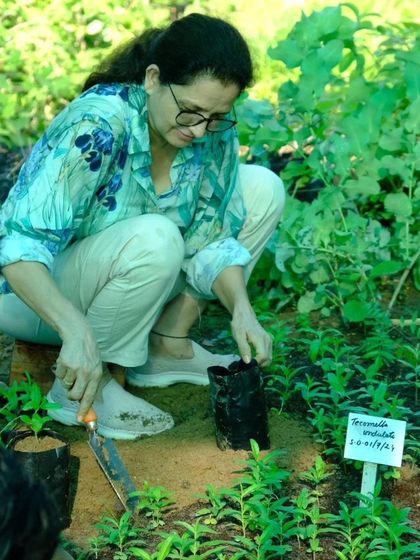 A participant carefully labels a newly transplanted sapling, an important step in tracking the growth and success of our native species.