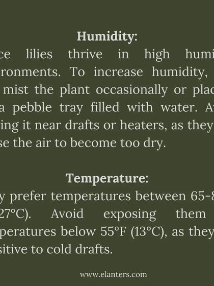 Expert Plant Care & Tips photo 16