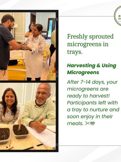 Participants at a microgreens workshop at the DLF Golf & Country Club. Everyone leaves with their own tray of freshly sown microgreens to nurture and harvest at home.