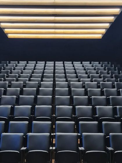 The lecture hall at MSAP, where clean lines and a focus on acoustics create a serene environment for learning. The tiered seating ensures clear sightlines, while the coffered ceiling adds visual interest.