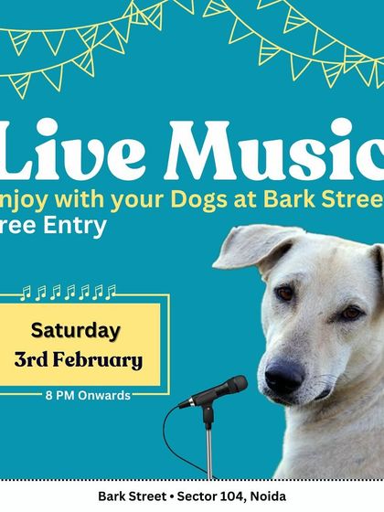 Enjoy live music with your dogs at Bark Street! We make sure your furry friend is always a VIP guest.