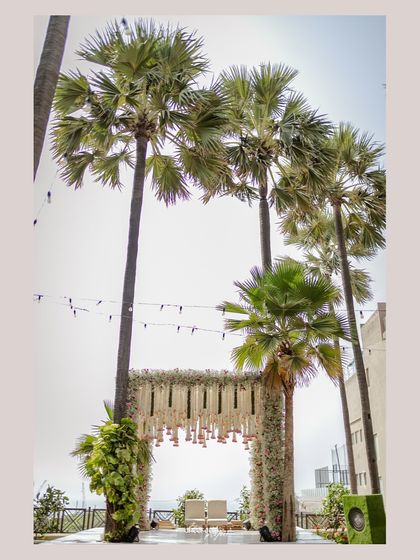 A beautiful entrance arch for a garden wedding, framed by tall palm trees.