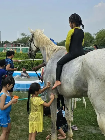 It’s not just about riding; it’s about connection. Kids and adults love the unique experience of bathing the horses, a fun and interactive activity that brings everyone closer to these gentle animals.