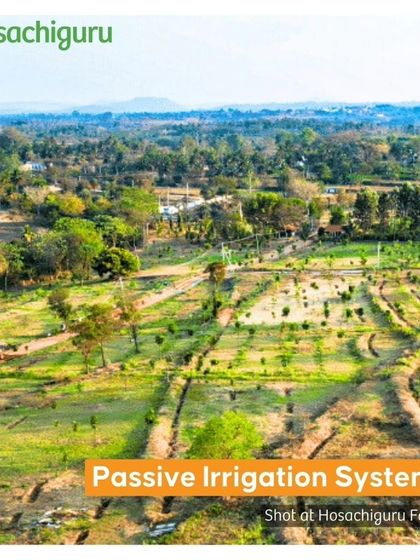 Our passive irrigation systems are designed to optimize water usage, meeting each plant's precise needs without waste.