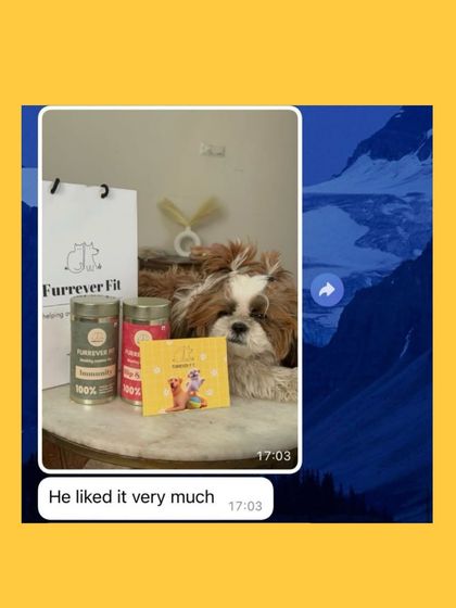 A cute Shih Tzu posing with his Furrever Fit goodies. The simple message "He liked it very much" is all I need to hear to know I'm on the right track.