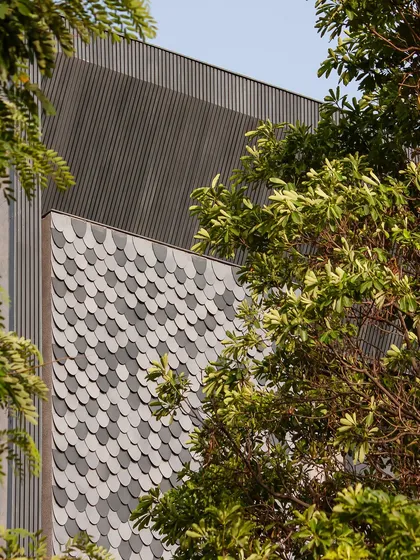 A detail of the facade seen through foliage, highlighting the contrast between the natural environment and the modern, textured materials of the building.