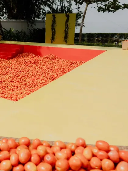 The tomato pit ready for action. The design is simple, modern, and bold, creating a striking visual contrast with the green lawn and the traditional attire of the guests.