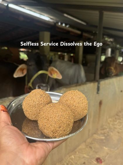 Selfless service dissolves the ego. At the ashram, I learned that true yoga is a lifestyle rooted in discipline, surrender, and inner clarity.