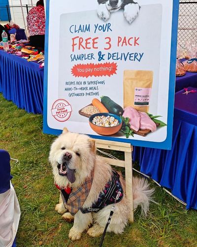 Pet Food Products