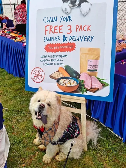 This fluffy friend knows where the good stuff is.