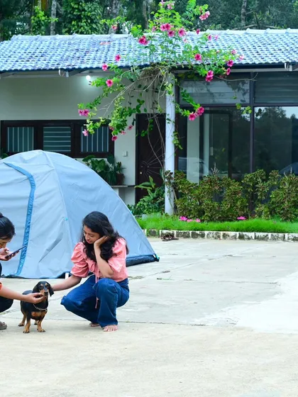 Making a new furry friend at our homestay in Sakleshpur. Our stays are often pet-friendly and full of pleasant surprises.