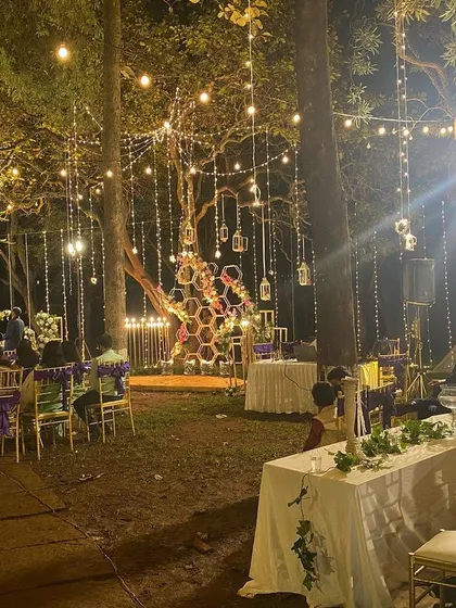 A wide view of the magical lighting at the Ecumenical Christian Center reception. Hanging fairy lights and Edison bulbs strung between the trees created a canopy of light over the entire event space.