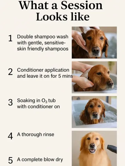 Mamppi Deb - Therapeutic Skin & Coat Treatments Ozone Bubble Spa: The Ultimate Skin Therapy photo 6