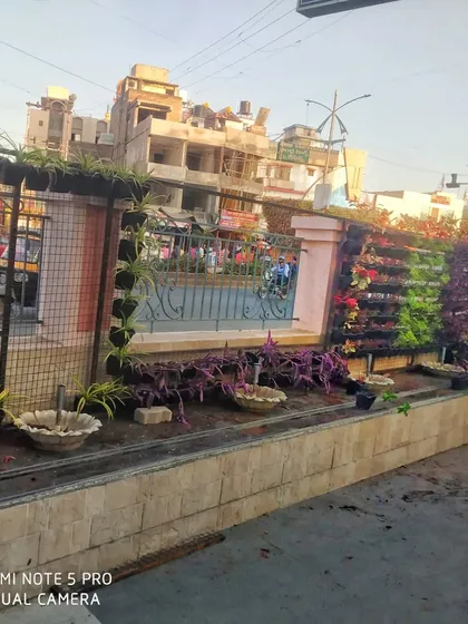 A vertical garden I installed for the Shirdi municipality. This project shows how I can use vertical planting to bring greenery to urban spaces, adding color and life to public-facing walls.