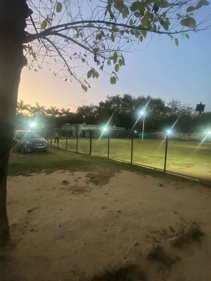 Safety is our top priority, day and night. Our securely fenced play park is fully lit after sunset, so the fun can continue safely under the watchful eyes of our on-site staff. You can rest easy knowing your dog is always secure with us.