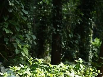 Spaces for Stillness photo 15