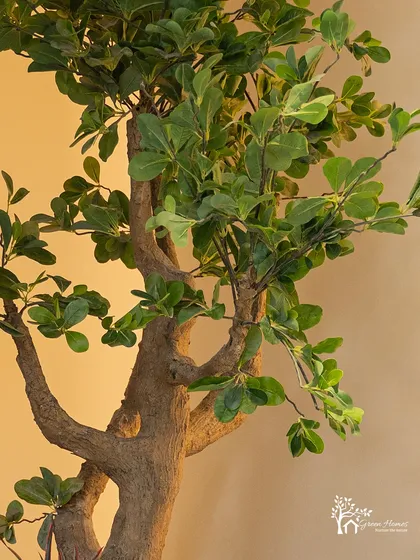 A close-up of the realistic leaves and branches of the faux tree used in our under-staircase project. The detail in the foliage ensures a lifelike appearance from any distance.