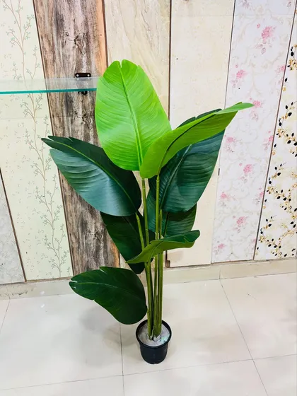 An artificial Bird of Paradise plant, known for its large, distinctive leaves that add a touch of the tropics.