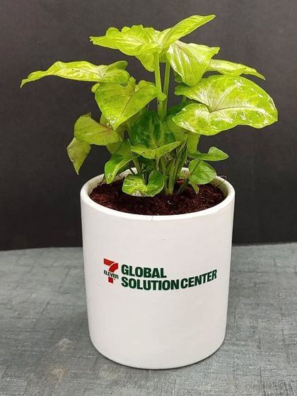 Branded Corporate Gifting photo 11