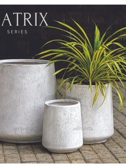This is our MATRIX series of textured FRP planters, shown here in a versatile light grey finish. Available in multiple sizes, they are perfect for creating cohesive plant arrangements indoors or on a balcony, as seen here with a vibrant Spider Plant.