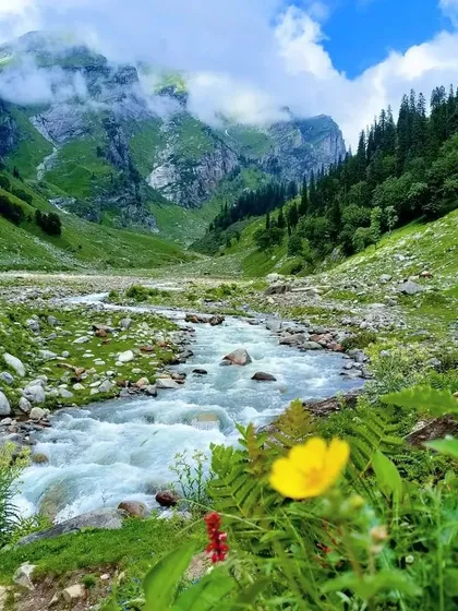A pristine river flowing through a green valley on the Hampta Pass trail. The trek offers a dramatic change in scenery every day.