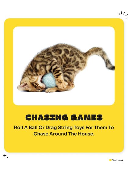 Pet Warehouse - Pet Supplies Toys, Accessories & Essentials photo 5