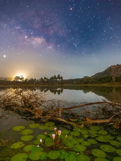 The full scene of the Milky Way reflecting over a lake filled with water lilies. This wider shot provides more context to the serendipitous discovery of this perfect astrophotography spot.