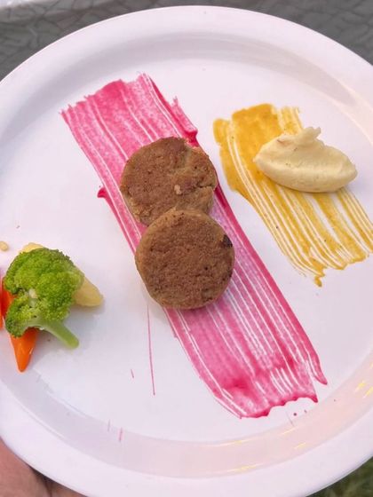 Another beautiful plate from our gourmet pet menu.