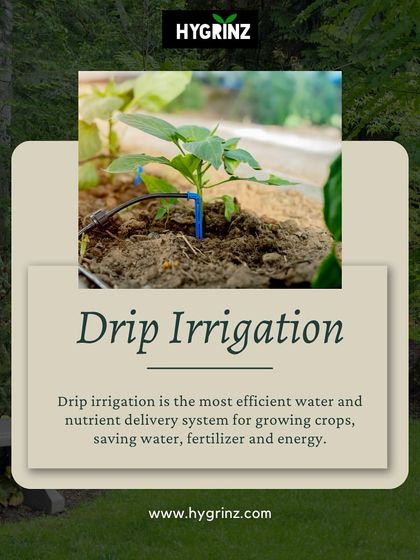 Hygrinz - Vertical Gardens & Irrigation Systems Gardening Know-How photo 3