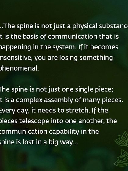 The spine is not just a physical substance; it is the basis of communication within your system. Daily stretching through practices like Yoga Namaskar is essential to maintain this capability.