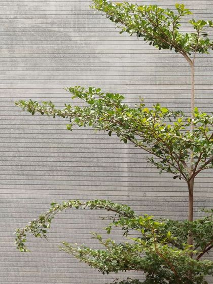 Design Kacheri - Residential Architecture Behind the Build: Our Process photo 145