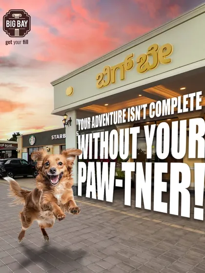 Your adventure isn't complete without your furry co-pilot. We are a proud pet-friendly stop, with plenty of open space for your four-legged friends to stretch and play.