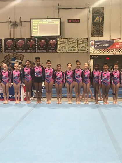 Fun & Fitness - Gymnastics & Tumbling Programs Our Champion Girls Teams photo 144